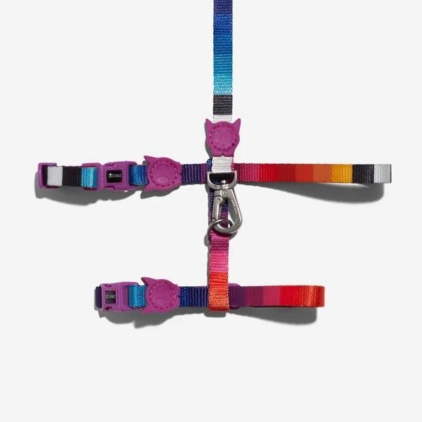 ZEEDOG CAT HARNESS/LEASH