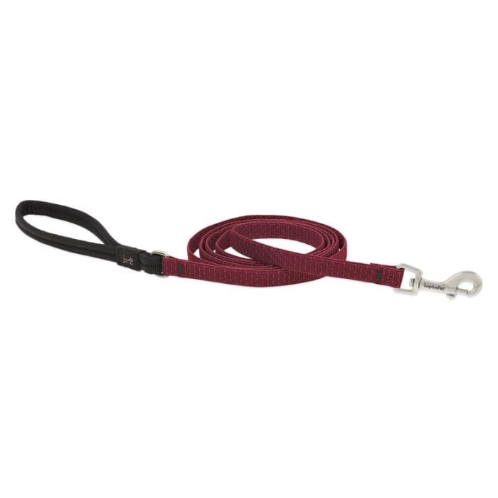 LUPINE 3/4IN BERRY LEASH 6FT