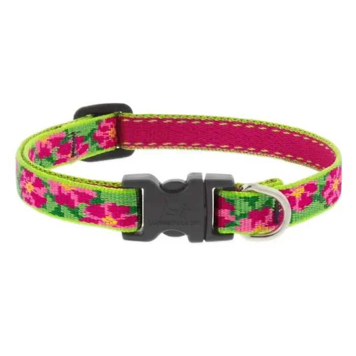 LUPINE 1/2 IN PETUNIAS 8-12 ADJ COLLAR