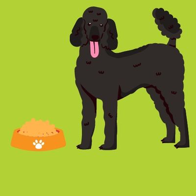 DOG FOOD