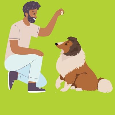 DOG TREATS