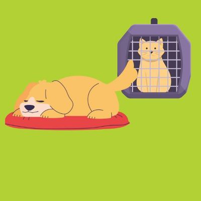 BEDS &amp; CRATES