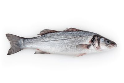 POISSON