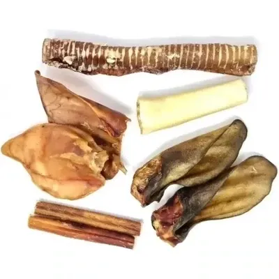 ACTIVITES MASTICATOIRES