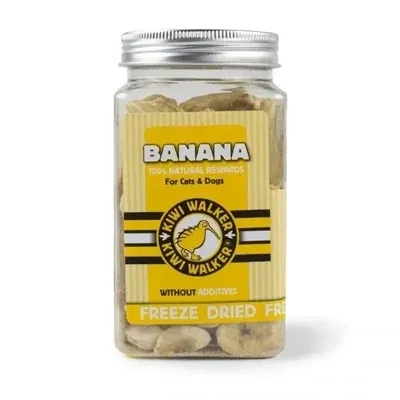 BANANE LYOPHILISEE 70G