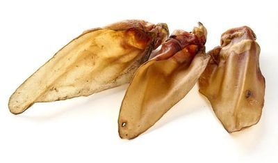 OREILLES DE BOEUF AVEC COQUES XXL 5 PIECES