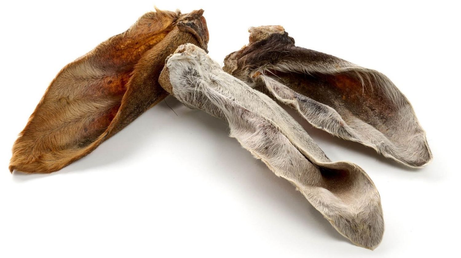 OREILLES DE VEAU AVEC FOURRURE 5 PIECES
