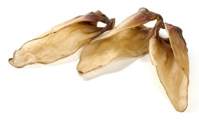 5 OREILLES DE VEAU. M AVEC BASE COQUE