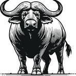 BUFFLE