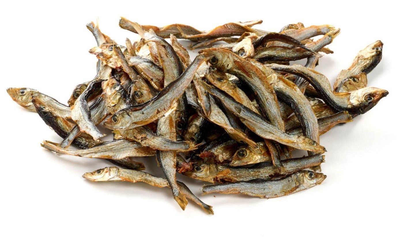 SPRAT (PETIT POISSON ou ANCHOIS) 1KG500
