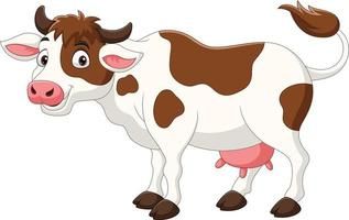 VACHE