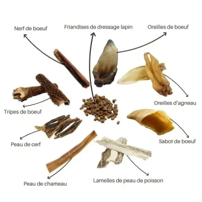 BOX MASTICATION FAIBLE CALORIES (VALEUR 45€)