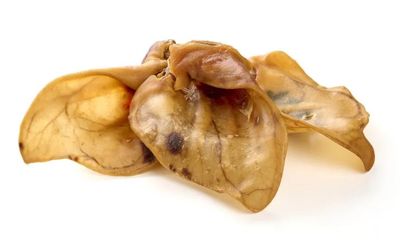 OREILLES DE COCHON/PORC XXL A L'UNITE