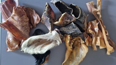 BOX MASTICATION SUPER RESISTANT (VALEUR 45€)