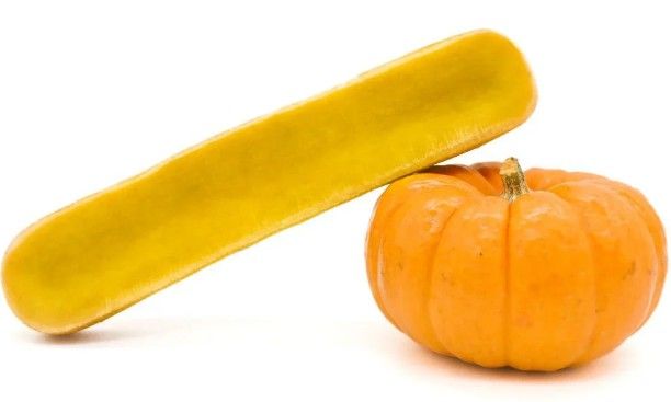 FROMAGE DE YAK CITROUILLE TAILLE XL