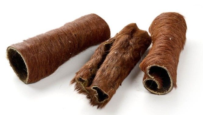 BANDES COURTES DE CHEVAL 100G