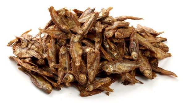 HARENG (POISSON) 100G