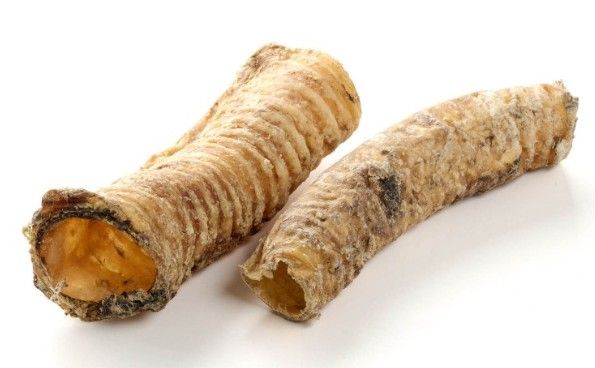 COUS DE CHAMEAU 100G