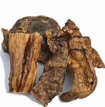 POUMONS