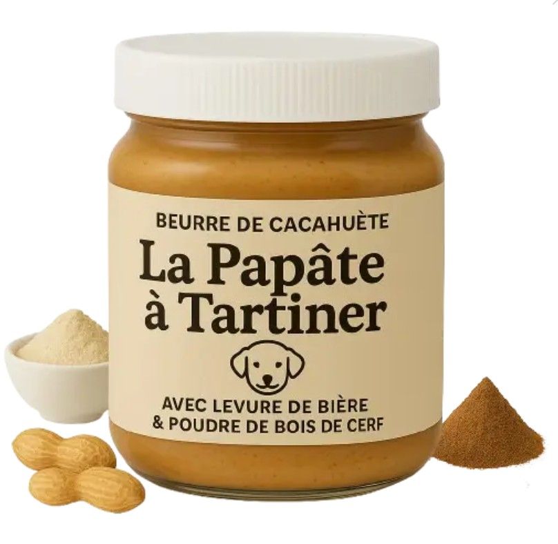 PATE A TARTINER BEURRE DE CACAHUETE 330G