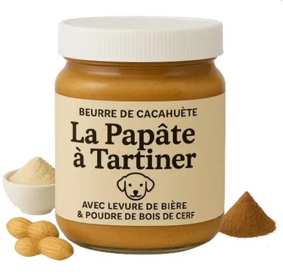 PATE A TARTINER BEURRE DE CACAHUETE 330G