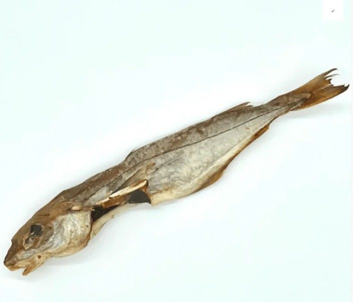 POISSON EGLEFIN 1 PIECE