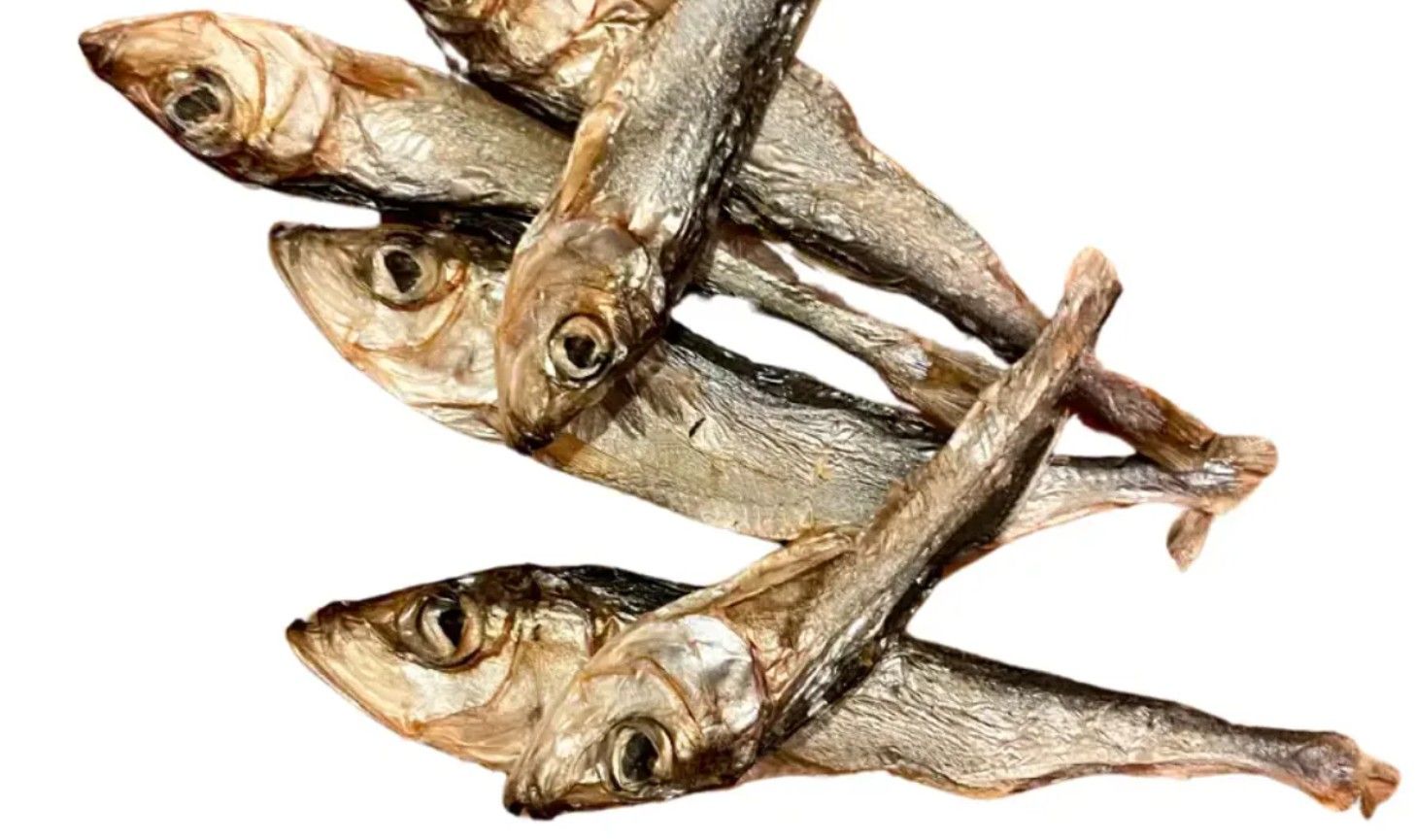 HARENG (POISSON) 100G