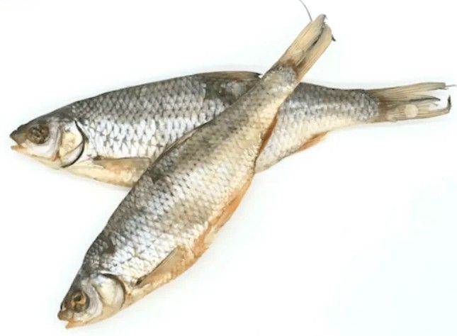 POISSON GARDON LES 100G