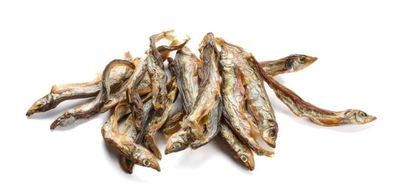 POISSON CAPELAN 100G