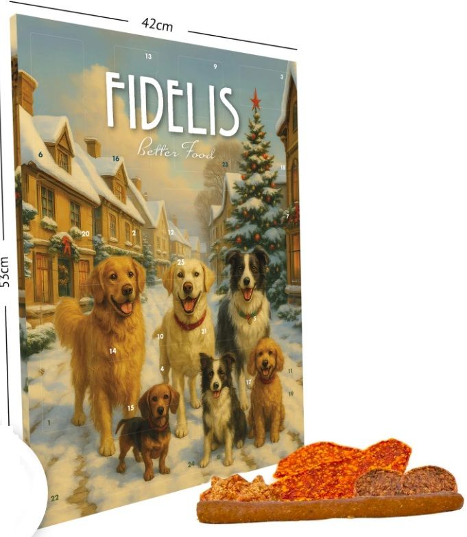 CALENDRIER DE L&#39;AVENT 2025 FIDELIS GOLDEN