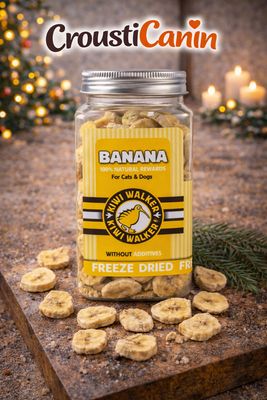 COLLATIONS LYOPHILISEES BANANE  70G