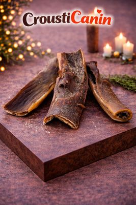 CUIR CHEVELU DE CHAMEAU, COURT 250G