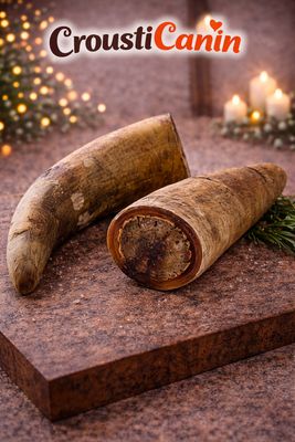 CORNE DE BETAIL AVEC NOYAU A L'UNITE