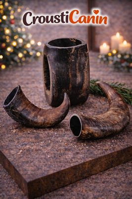 CORNE DE BUFFLE VIDE TAILLE L - 1 PIECE