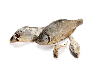 POISSON CARASSIN A L'UNITE