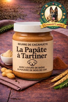 PATE A TARTINER BEURRE DE CACAHUETE 330G