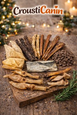 BOX MASTICATION HYPOALLERGENIQUE (VALEUR 35 €)