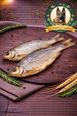 POISSON GARDON LES 100G