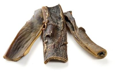 CUIR CHEVELU DE CHAMEAU, LONG 250G