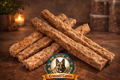 STICKS POISSON SEBASTE 100G