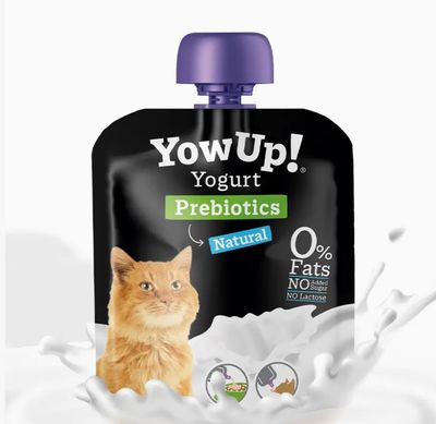 YOWUP PROBIOTIQUES CHAT 85G