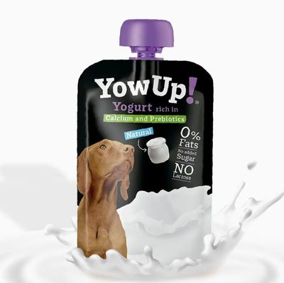 YOWUP NATURAL PROBIOTIQUES 115G