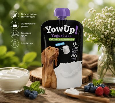 YOWUP NATURAL PROBIOTIQUES 115G