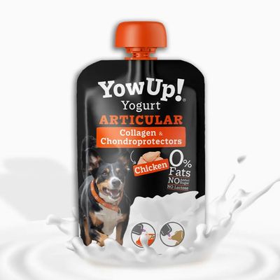 YOWUP ARTICULATION + PROBIOTIQUES 115G