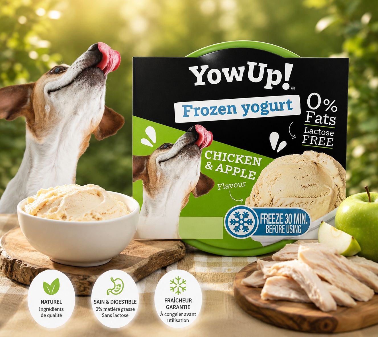 YOWUP GLACE POULET &amp; POMME 110G