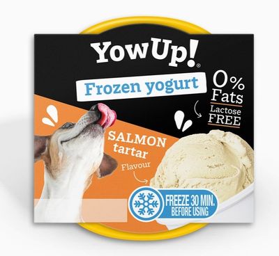 YOWUP GLACE TARTARE DE SAUMON 110G