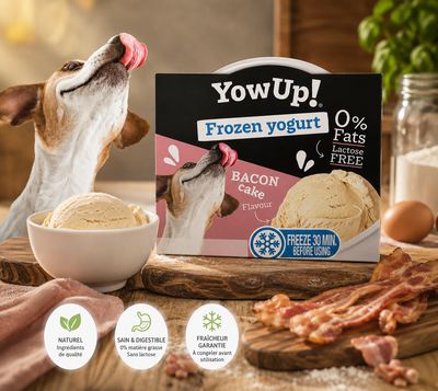 YOWUP GLACE GATEAU AU BACON 110G