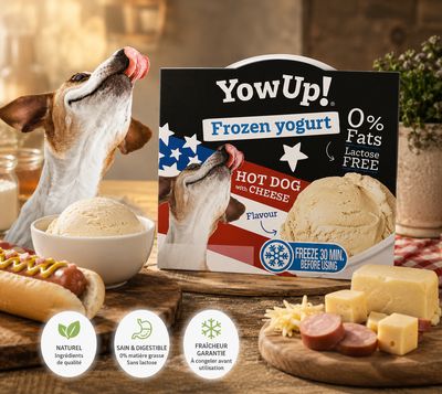 YOWUP GLACE HOT-DOG CHEESE 110G