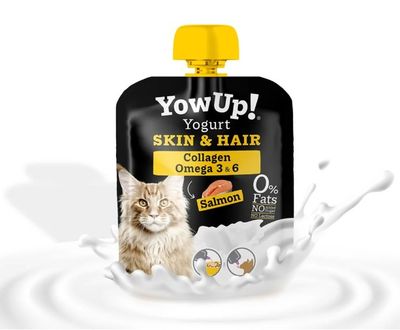 YOWUP COLLAGEN OMEGA 3 &amp; 6 CHAT 85G