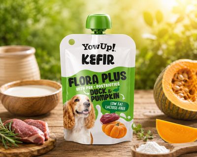 YOWUP KEFIR CITROUILLE &amp; CANARD 115G